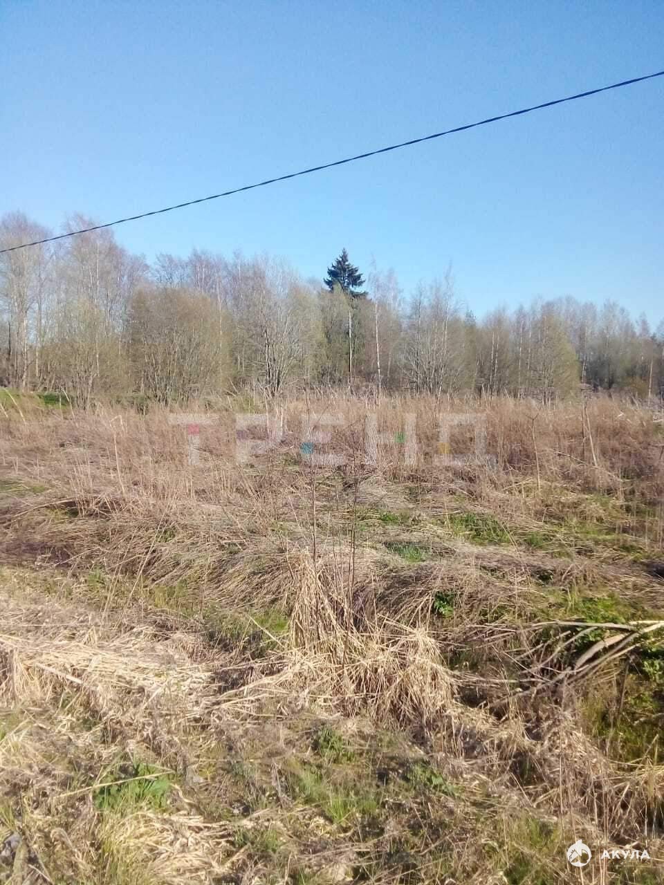 Озеро александровское в выборгском районе